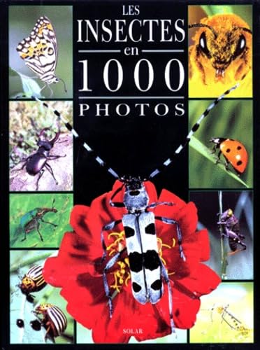 Les insectes en 1000 photos