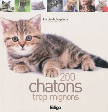 200 chatons trop mignons
