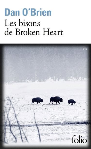 Les bisons de Broken Heart