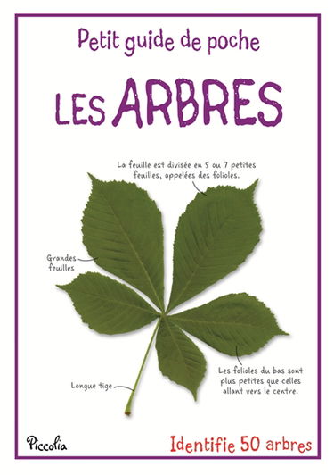 Les arbres : identifie 50 arbres