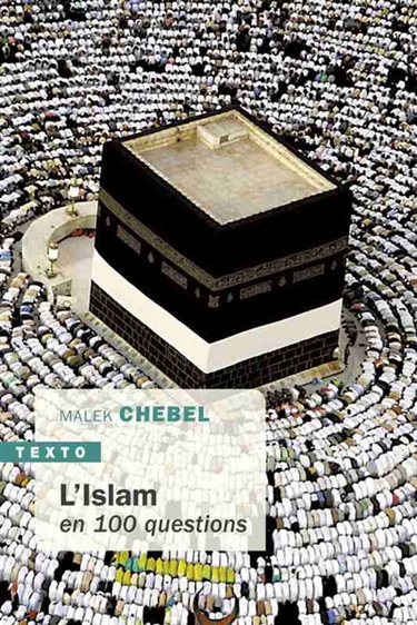 Couverture de L'islam en 100 questions