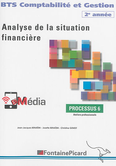 Analyse de la situation financière : BTS comptabilité et gestion 2e année : processus 6, ateliers professionnels