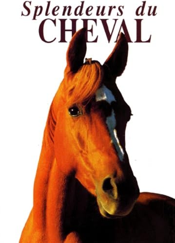 Splendeurs du cheval