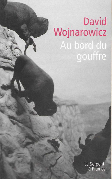 Au bord du gouffre : mémoires d'une désagrégation : récit