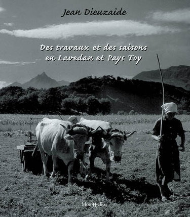 Couverture de Des travaux et des saisons en Lavedan et Pays Toy