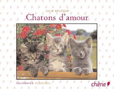 Couverture de Chatons d'amour : calendrier perpétuel