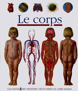 Le corps