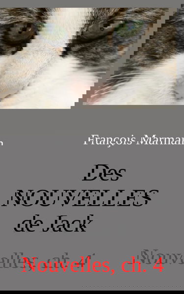 Des NOUVELLES de Jack: Nouvelles, ch. 4