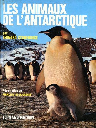 Couverture de Les animaux de l'antarctique