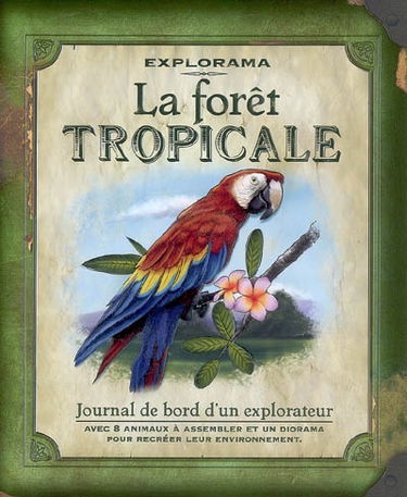 La forêt tropicale : journal de bord d'un explorateur
