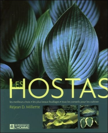 Les hostas : Les meilleurs choix, les plus beaux feuillages, tous les conseils pour les cultiver