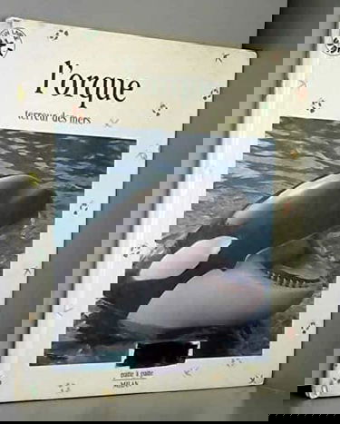L'orque, terreur des mers