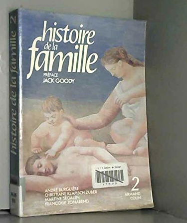 Histoire de la famille. Vol. 2. Le Choc des modernités