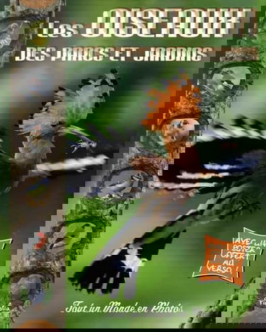Les oiseaux des parcs et jardins: Avec un poster offert au verso !
