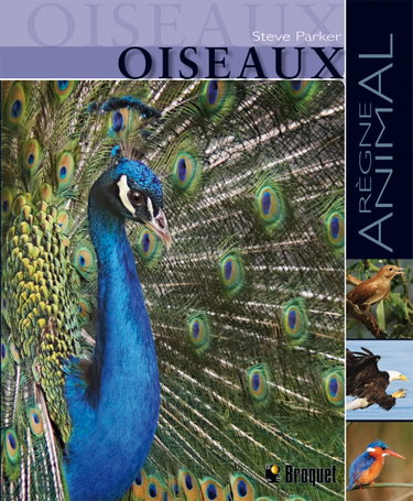 Couverture de Oiseaux