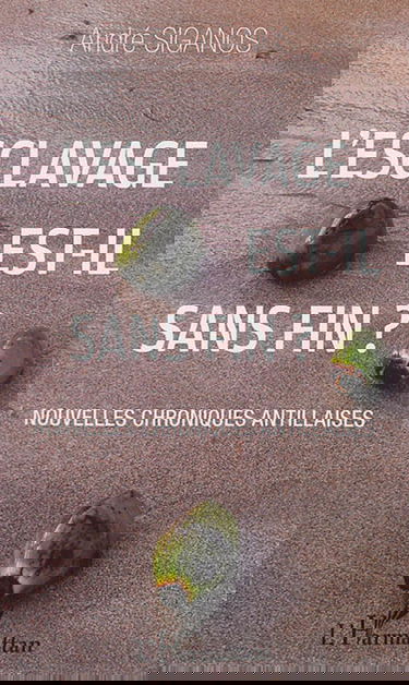 L'esclavage est-il sans fin ? : nouvelles chroniques antillaises