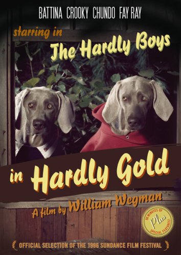 Couverture de The Boys in Hardly Gold
