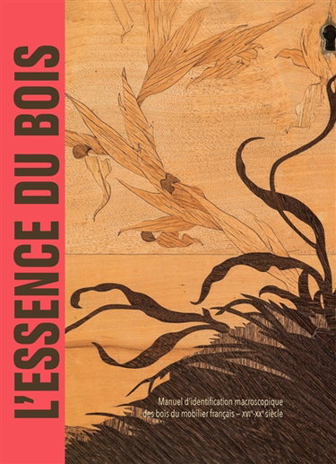Couverture de L'essence du bois : manuel d'identification macroscopique des bois du mobilier français : XVIe-XXe siècle