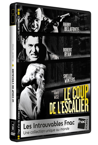 Couverture de Le Coup de l'escalier