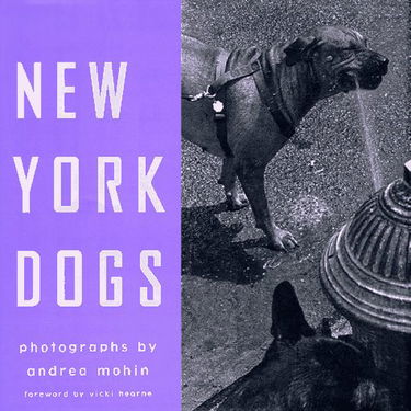 New York Dogs