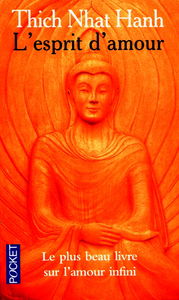 L'esprit d'amour : la pratique du regard profond dans la tradition bouddhiste mahayana