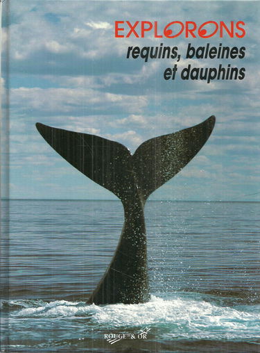 Requins baleines et dauphins
