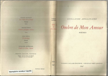 Couverture de Ombre de mon amour : Poèmes / Guillaume Apollinaire introduction de Pierre Cailler