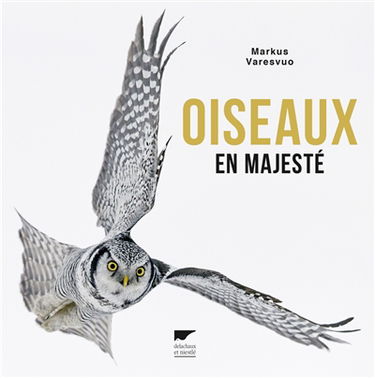 Oiseaux en majesté