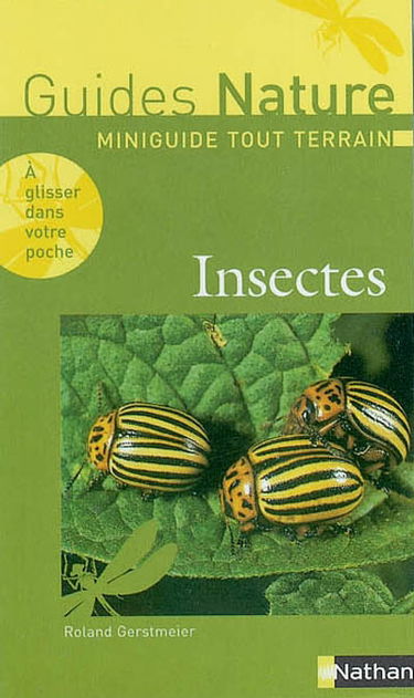 Insectes