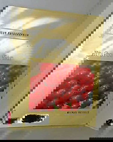 Guide du Reflex 24 x 36