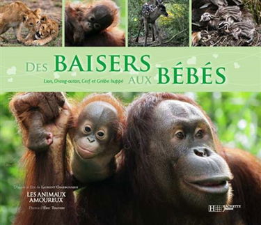 Des baisers aux bébés : avec le lion, l'orang-outang, le cerf et le grèbe huppé