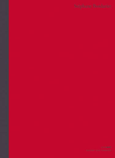 Stéphane Bordarier : exposition, Paris, Galerie Jean Fournier, du 24 novembre 2011 au 7 janvier 2012