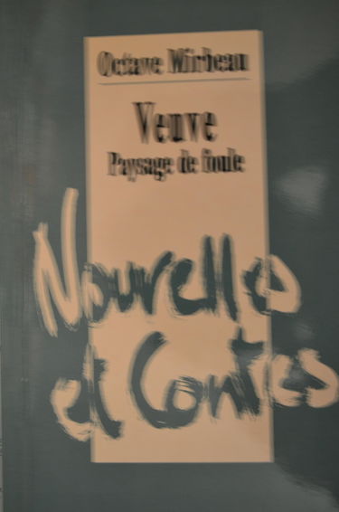 Veuve ;: Suivi de Paysage de foule