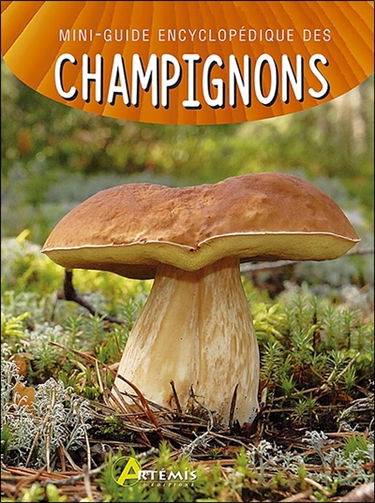 Mini-guide encyclopédique des champignons