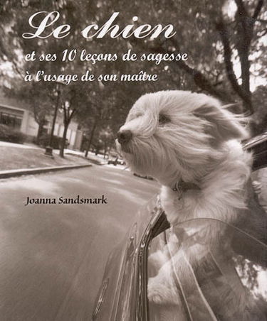 Le chien et ses 10 leçons de sagesse à l'usage de son maître