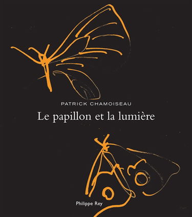 Le papillon et la lumière