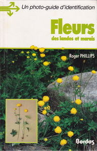 Fleurs sauvages des landes et des marais
