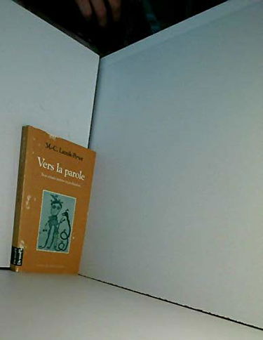 Vers la parole : Trois enfants autistes en psychanalyse