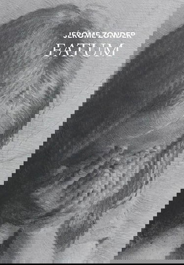 Jérôme Zonder : fatum