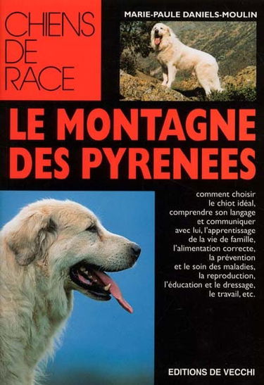 Le Montagne des Pyrénées