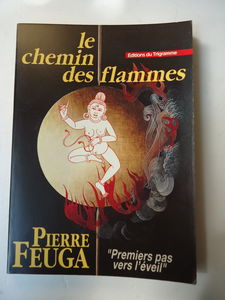 Le Chemin des flammes