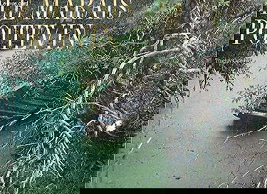 Marais poitevin nature (le)