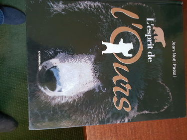 L'esprit de l'ours