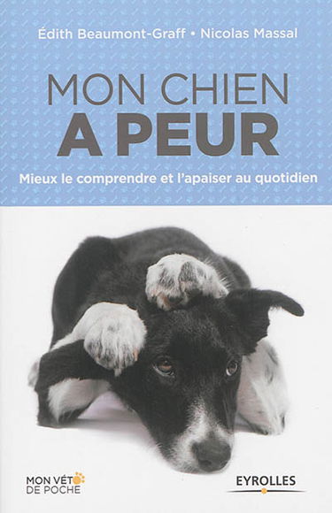 Mon chien a peur : mieux le comprendre et l'apaiser au quotidien