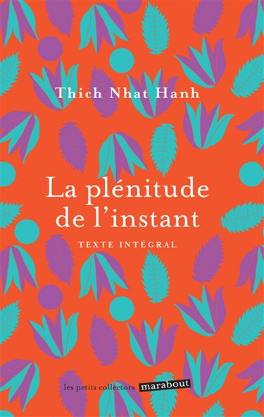 La plénitude de l'instant : vivre en pleine conscience