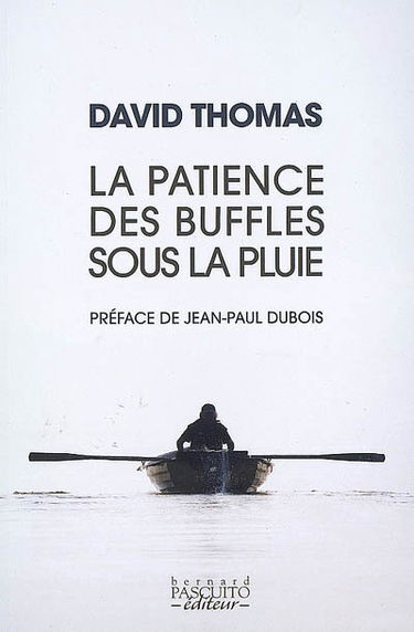 La patience des buffles sous la pluie