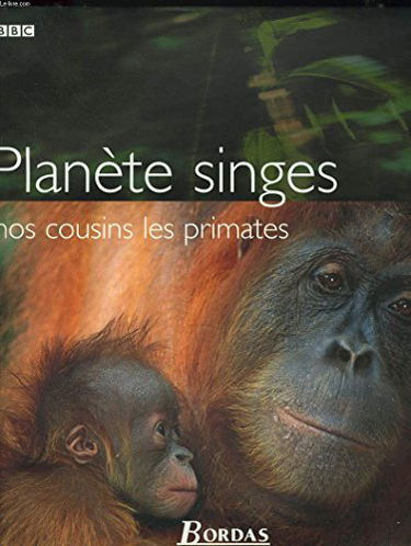 Planète singes : nos cousins les primates