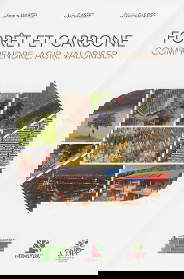 Forêt et carbone : comprendre, agir, valoriser