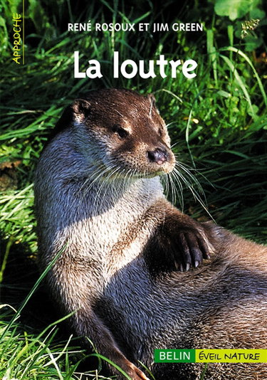 La loutre