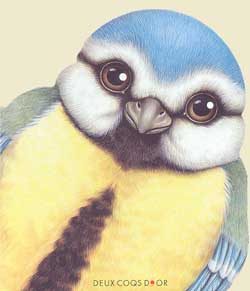 La Mésange de la campagne